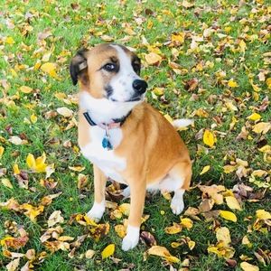 Meet your Posher, Maggie